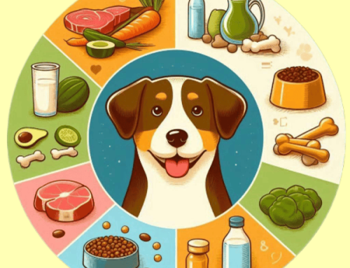 Creating a Balanced Diet for Your Active Working Dog