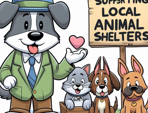 Support Local Animal Shelters This Valentine’s Day: Volunteer, Donate, and Spread Love